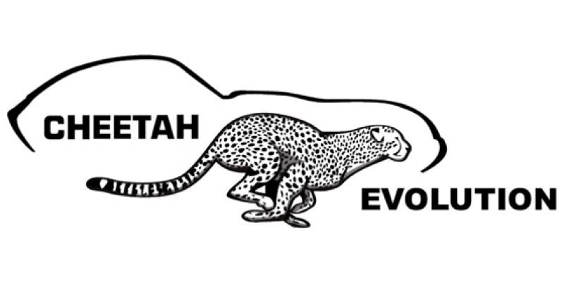 Cheetah Evolution
