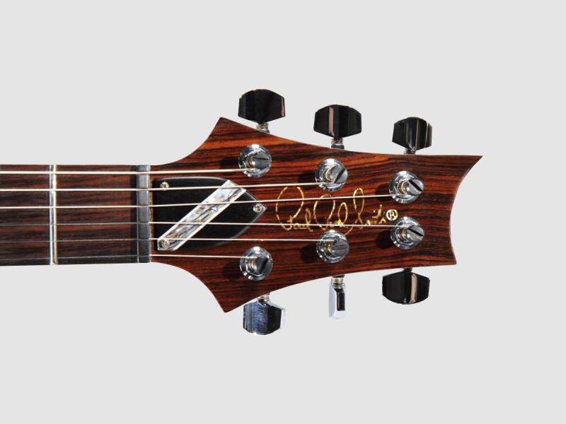 V8 Interceptor Guitar