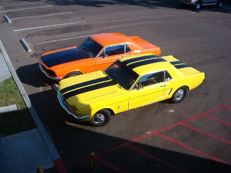 Father and son Mustangs